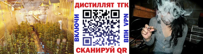 Купить  Тутаев  Дистиллят ТГК вейп с тгк 